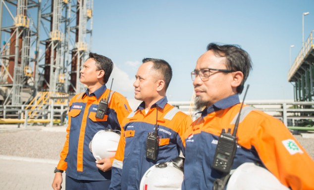 ​4 PelabuhanTerkenal di Indonesia, Salah Satunya di KawasanIndustri JIIPE di Gresik